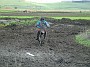 DSCF5841