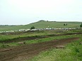 DSCF7256