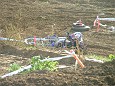 DSCF7982