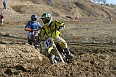 IMG_1331
