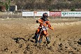 IMG_0684