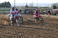 IMG_1803