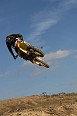IMG_1854