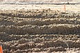 IMG_0882