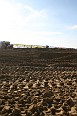 IMG_1681