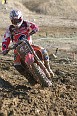 IMG_0817