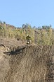 IMG_0896