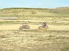 DSCF3482