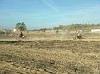 DSCF3484