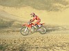 DSCF3625