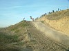DSCF3651