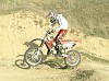 DSCF3445