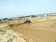 DSCF8582