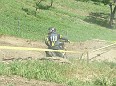 DSCF4581