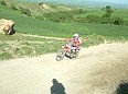 DSCF5132
