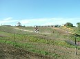 DSCF5185