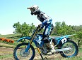 DSCF3777