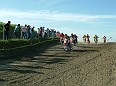 DSCF5204