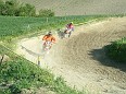 DSCF5245