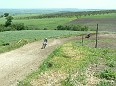 DSCF4188