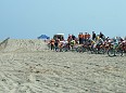 DSCF6231