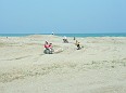 DSCF6254