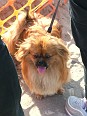 DSCF6431