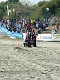 DSCF6442