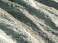 DSCF6559