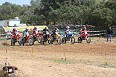 IMG_0050