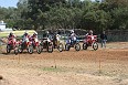 IMG_0052