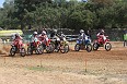 IMG_0054