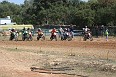 IMG_0412