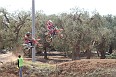 IMG_0269