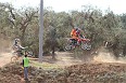 IMG_0274