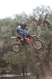 IMG_0345