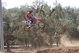 IMG_0346