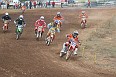 IMG_1186