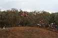 IMG_1206