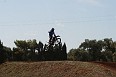 IMG_9008