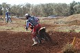 IMG_9190