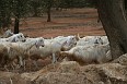 IMG_0803