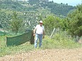 DSCF8176