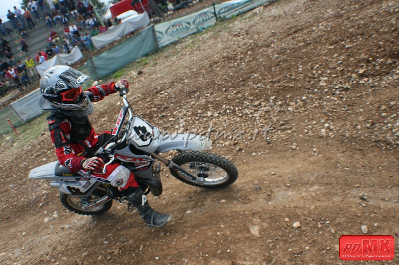 IMG_3765.JPG - Vincenzo Roberti