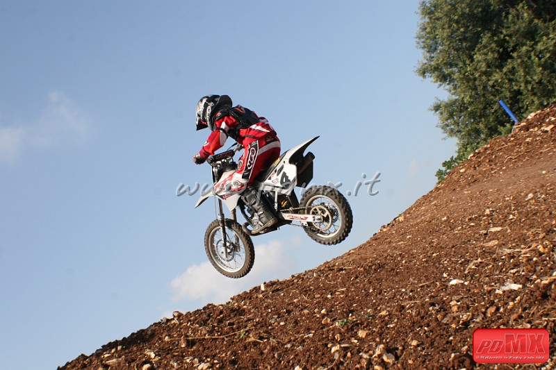 IMG_3378.JPG - Vincenzo Roberti