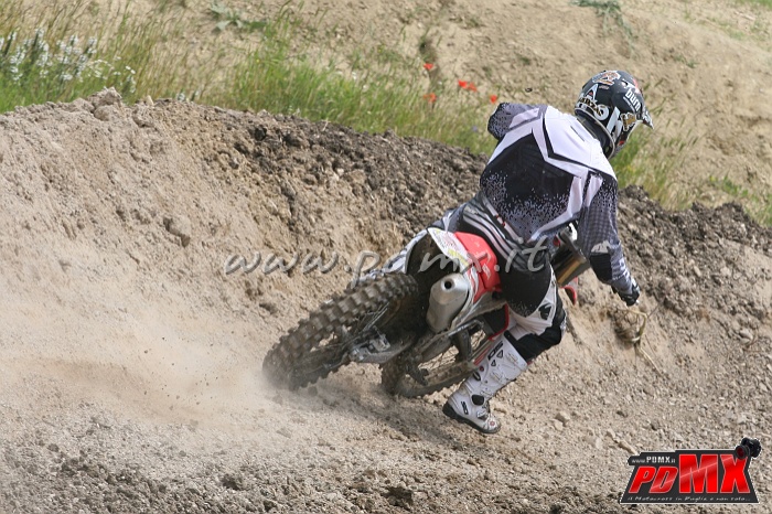 IMG_7866.JPG
