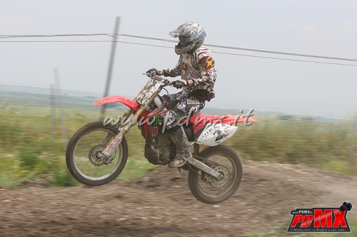 IMG_7919.JPG
