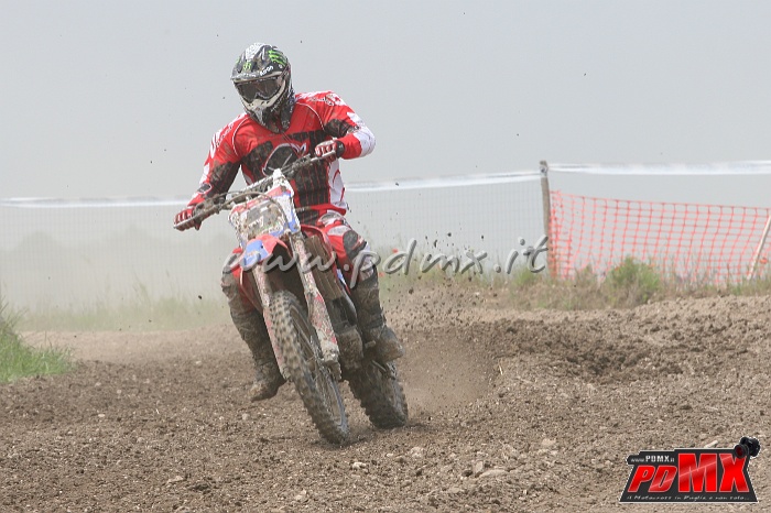 IMG_7924.JPG