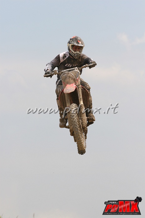 IMG_7981.JPG