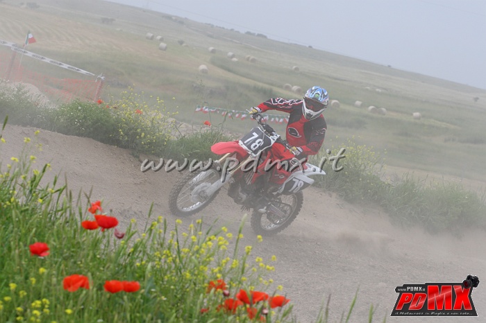 IMG_6652.JPG - Francesco Gallione